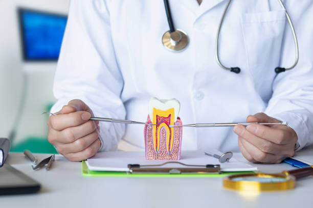 Trusted OK Emergency Dental Service Experts